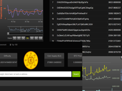 Zabýváme se monitoringem kryptoměn